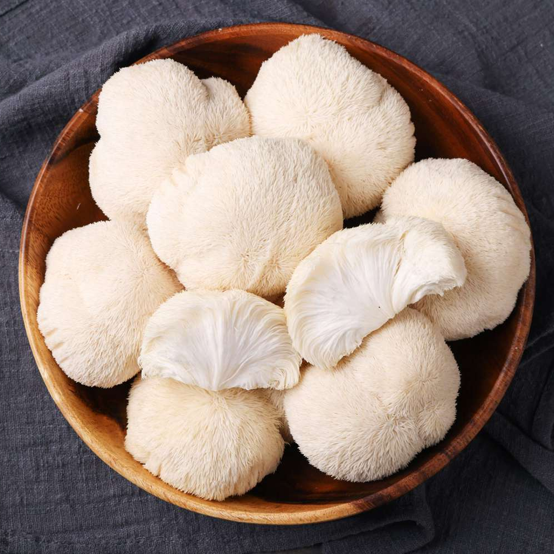 Lion's Mane Mushroom